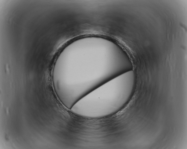 X0000097831215200803140820
