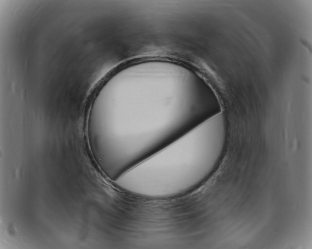 X0000097831216200803140820
