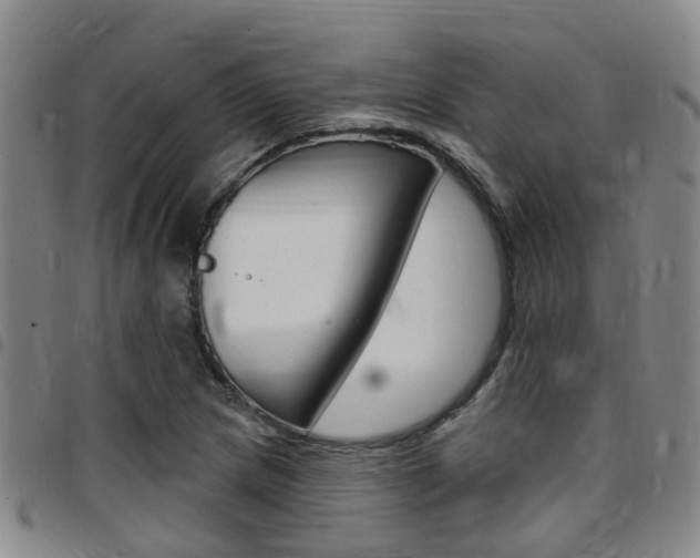 X0000097831217200803140820