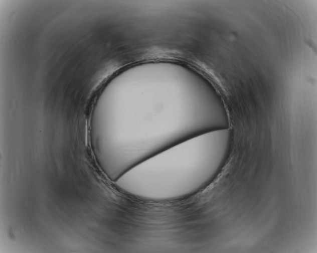 X0000097831219200803140820