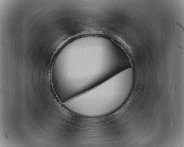 X0000097831220200803140821