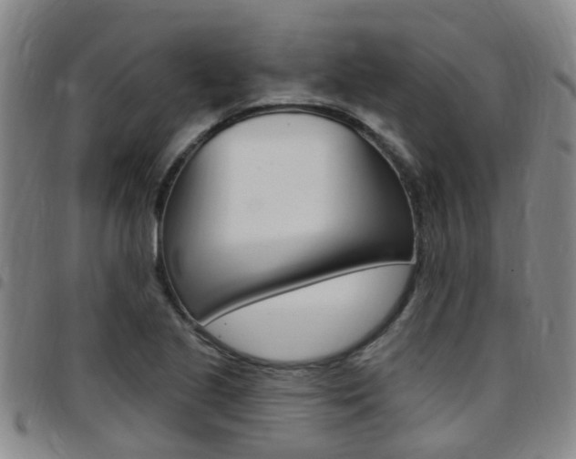 X0000097831221200803140821