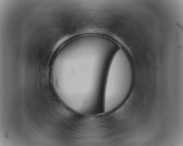 X0000097831222200803140821
