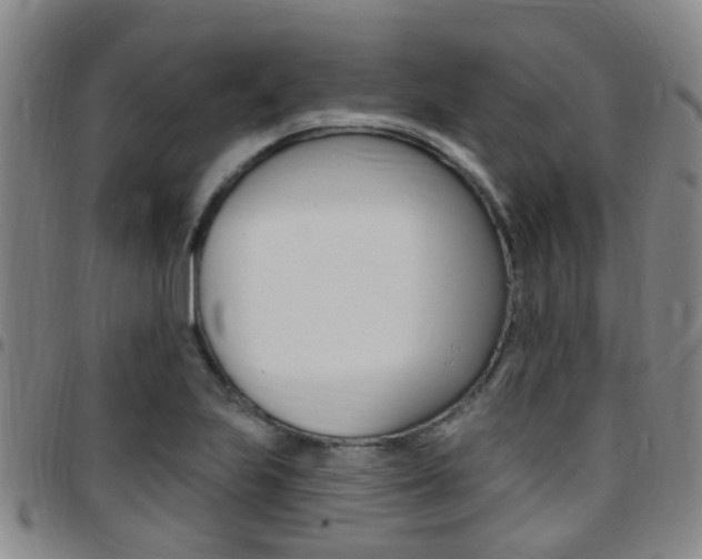 X0000097831223200803140821