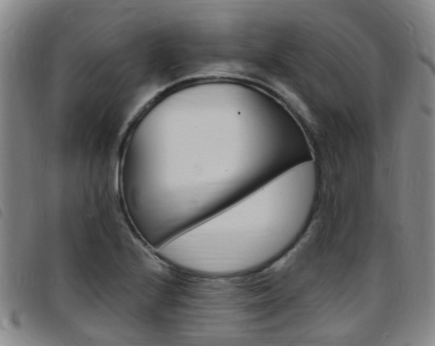 X0000097831224200803140821