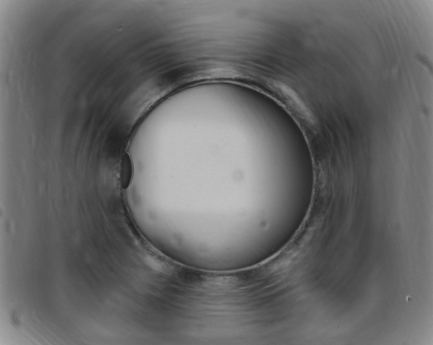 X0000097831225200803140821