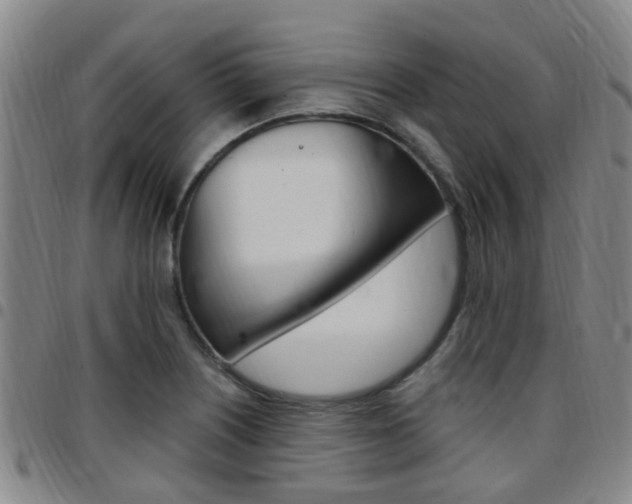 X0000097831226200803140821