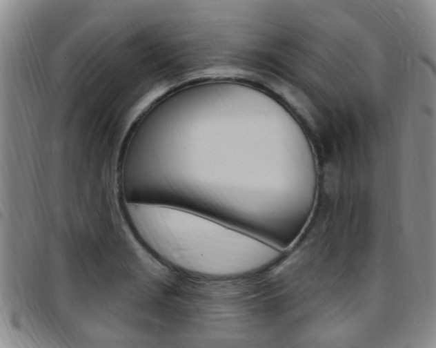 X0000097831229200803140821