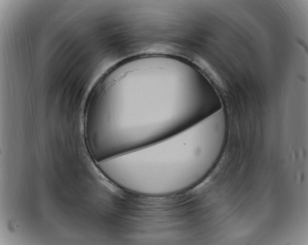X0000097831232200803140821