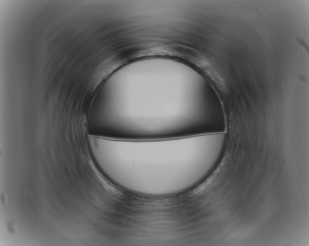 X0000097831233200803140821