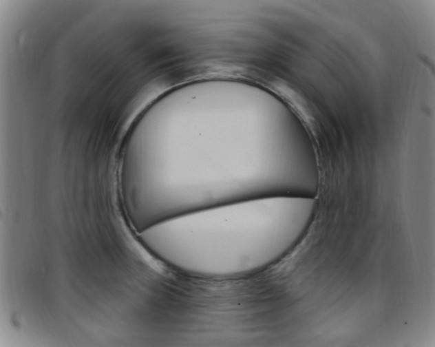 X0000097831235200803140821