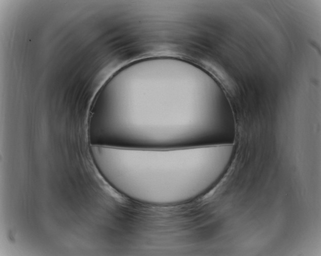 X0000097831236200803140821