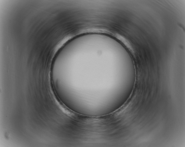 X0000097831237200803140821