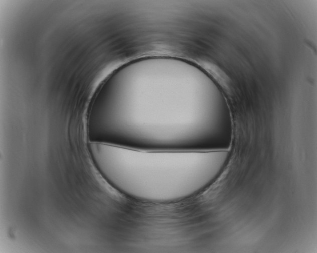 X0000097831238200803140821