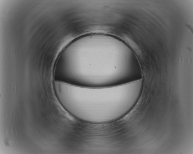 X0000097831240200803140821