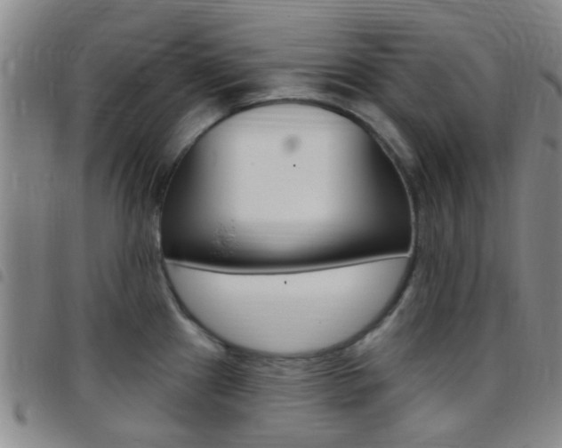 X0000097831241200803140821