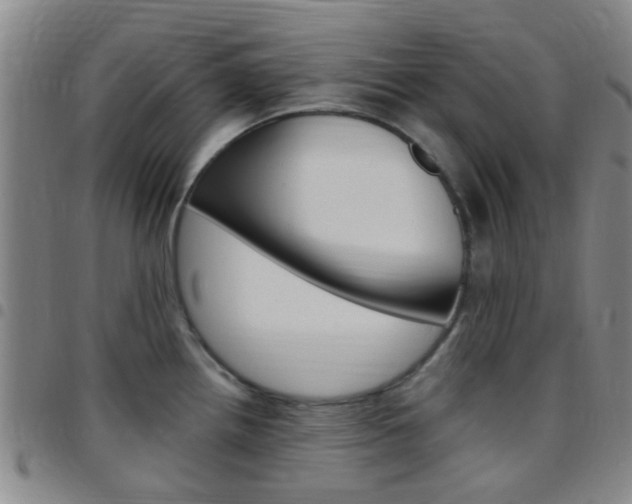 X0000097831242200803140821