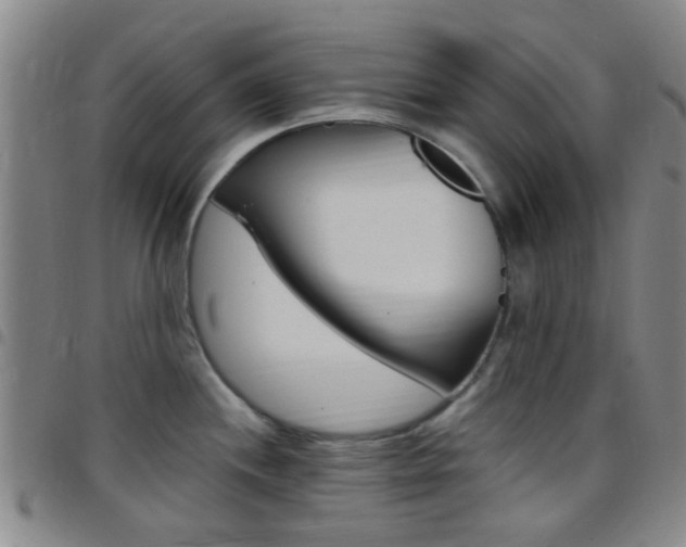 X0000097831244200803140821