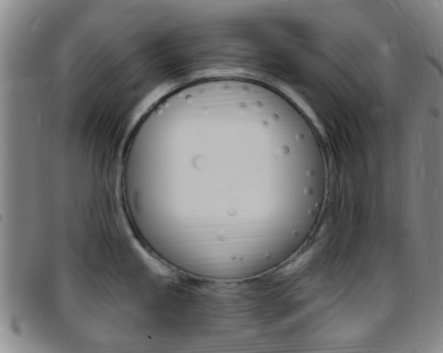 X0000097831245200803140821