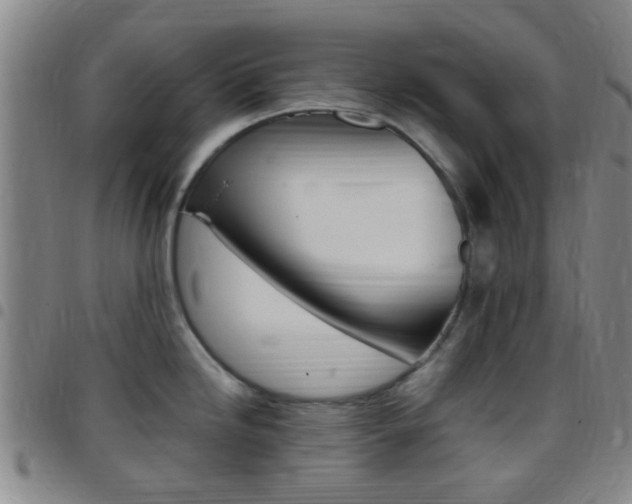 X0000097831246200803140821