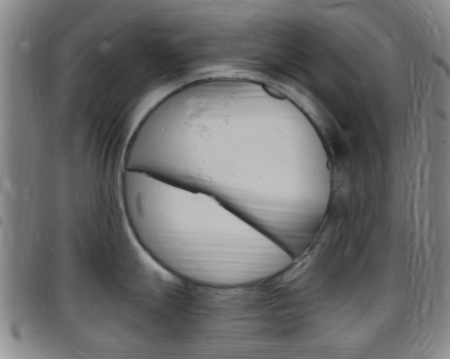 X0000097831247200803140821