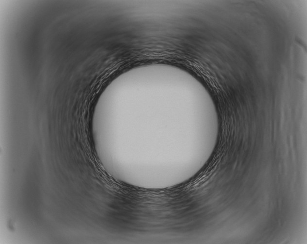 X0000097831249200803140820