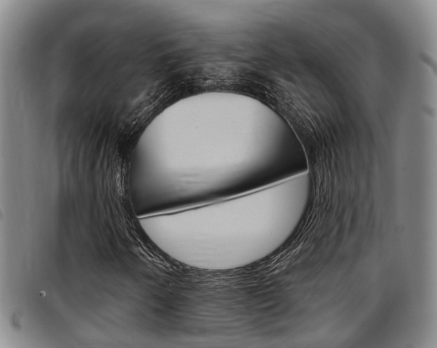X0000097831250200803140820