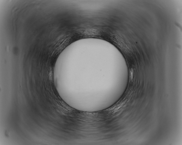 X0000097831251200803140820