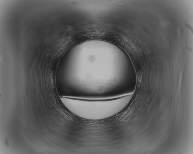 X0000097831252200803140820
