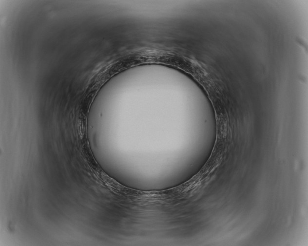 X0000097831253200803140820