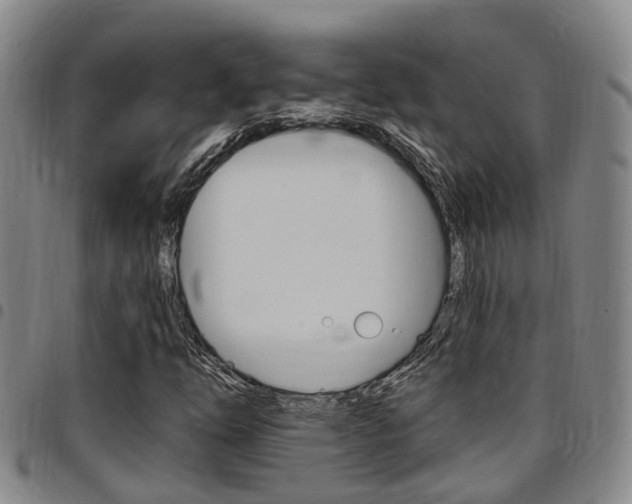 X0000097831254200803140820