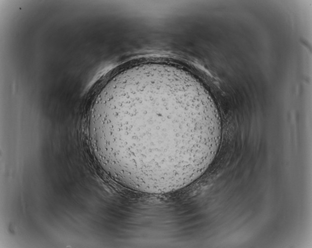 X0000097831255200803140820