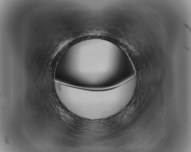 X0000097831256200803140820
