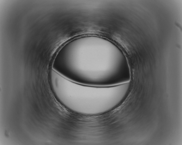 X0000097831260200803140820