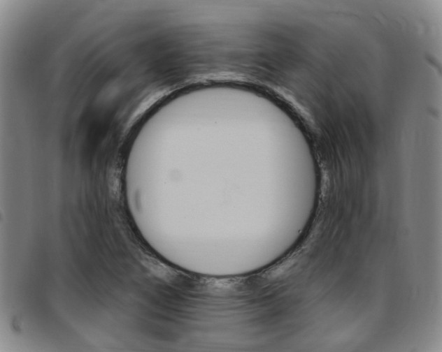 X0000097831266200803140820