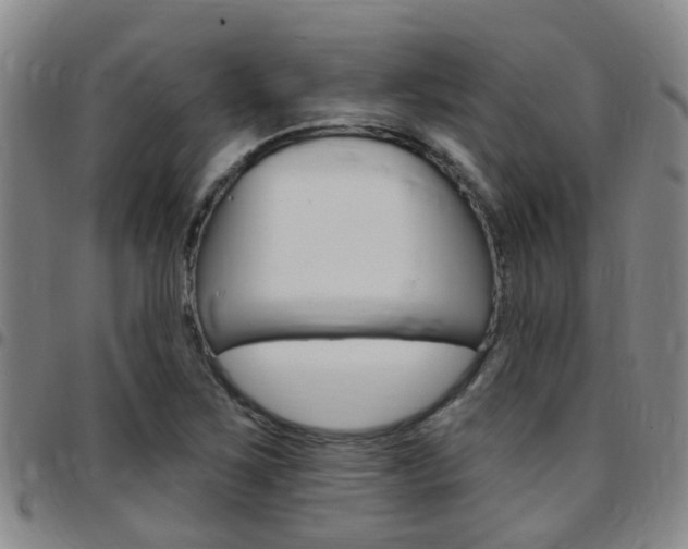 X0000097831267200803140820