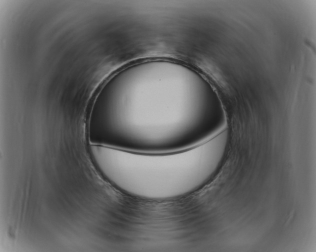 X0000097831268200803140820
