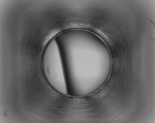 X0000097831269200803140820