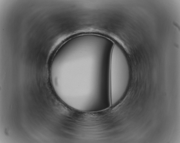 X0000097831270200803140820