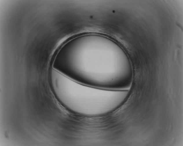 X0000097831272200803140820