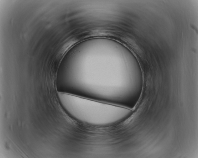 X0000097831273200803140820