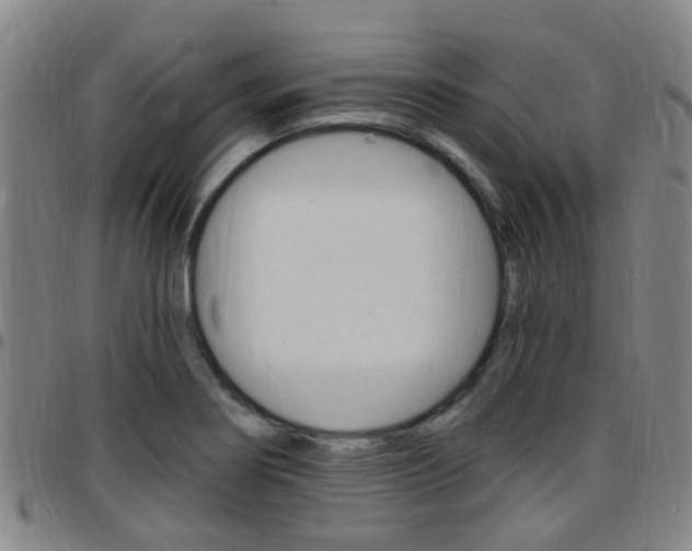 X0000097831274200803140820