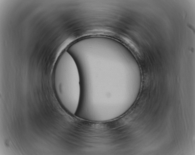 X0000097831275200803140820