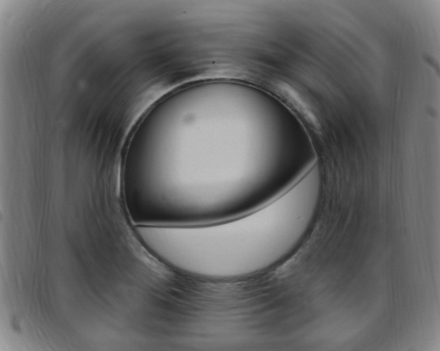 X0000097831276200803140820