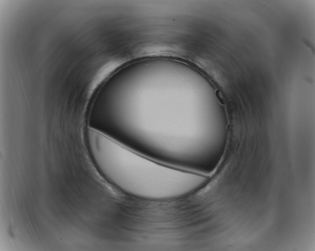 X0000097831277200803140820