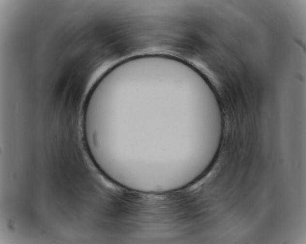 X0000097831278200803140820