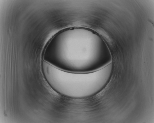 X0000097831280200803140820