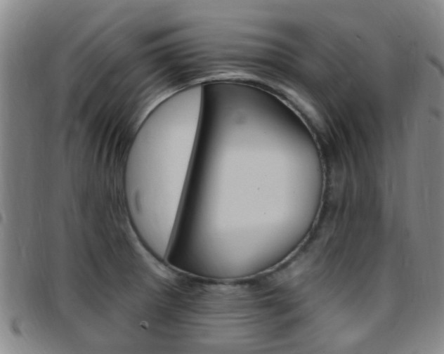 X0000097831281200803140820