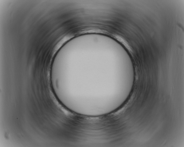 X0000097831282200803140820
