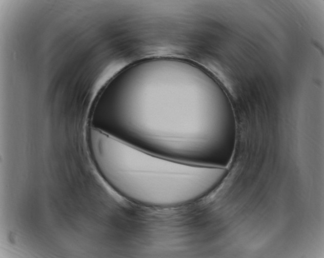 X0000097831285200803140820